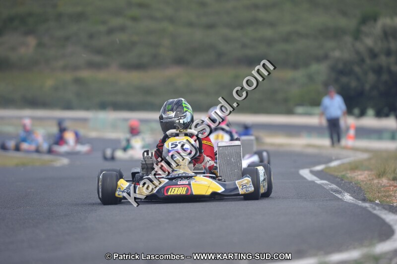 DSC (3805).JPG